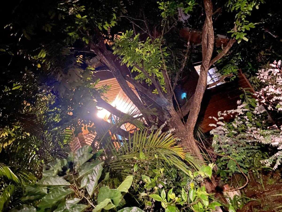 Chalet Pittoresque A Le Tampon, Vue Mont. Exterior photo